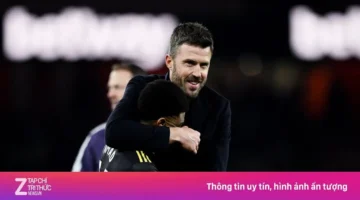 قرار حاسم.. هل يمدد مانشستر يونايتد عقد مايكل كاريك لفترة إضافية؟